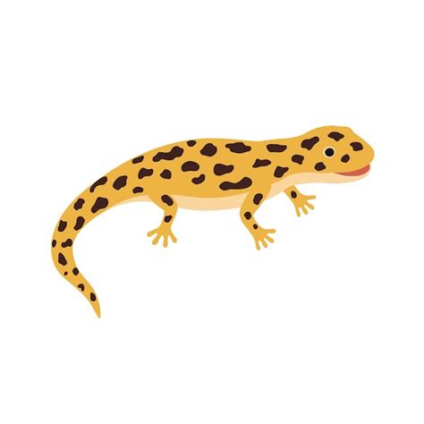 Premium Vector Yellow Lizard Spotted Salamander Vector Illustration