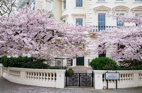 Cherry Blossoms The 29 Prettiest Places To Spot Them In London