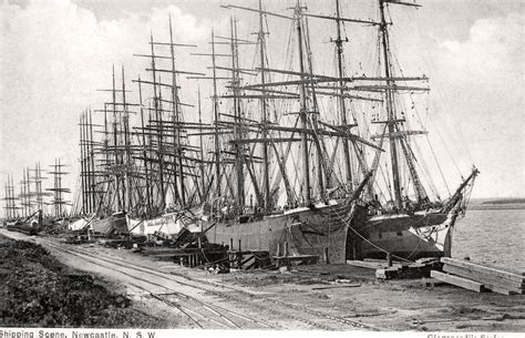 Transpress Nz Ships In Newcastle Australia 1900s