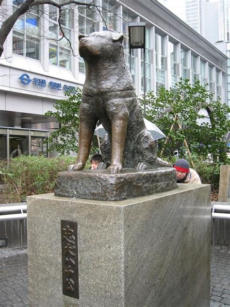 Hachiko Statue At Shibuya Train Station In Tokyo Would Love To See