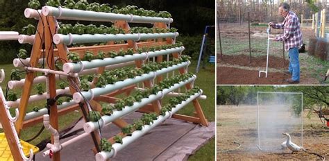 15 Pvc Projects For Your Homestead Home Design Garden And Architecture