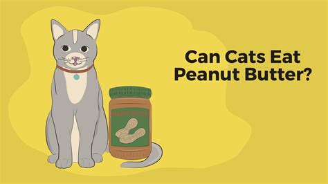 Can Cats Have Peanut Butter