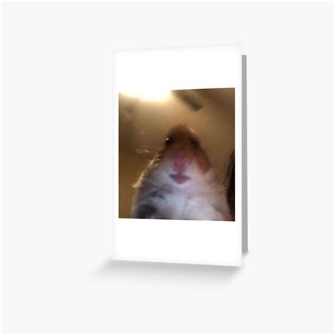 Facetime Hamster Meme Greeting Card By James Heath Redbubble