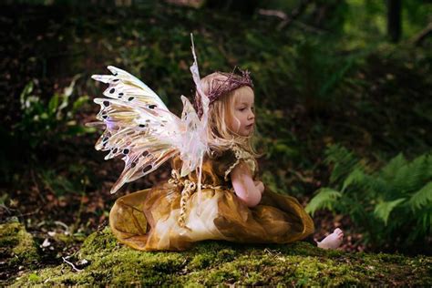 Real Fairy Wings Etsy