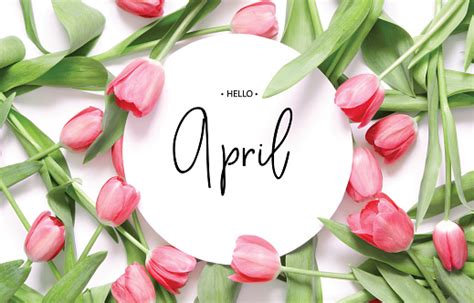 Ninscription Hello April Tulip Flower Spring Background Stock Photo
