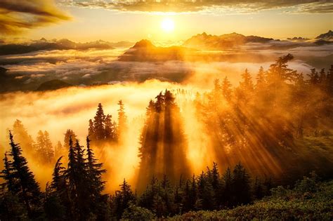 Landscape Sun Rays Forest Mountain Clouds Wallpapers Hd Desktop