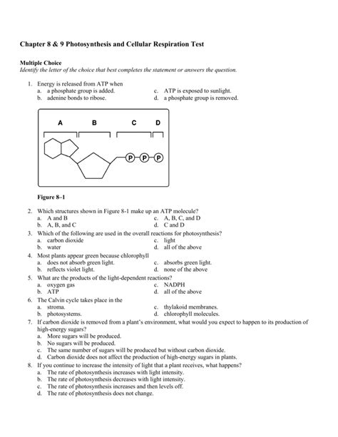 Chapter 8 biology vocabulary practice answers learn vocabulary practice chapter 2 biology with free interactive flashcards. Miller and levine biology workbook answer key chapter 9 ...
