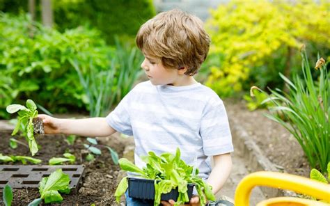 Gardening With Kids 4 Things To Know Assurance Home Services