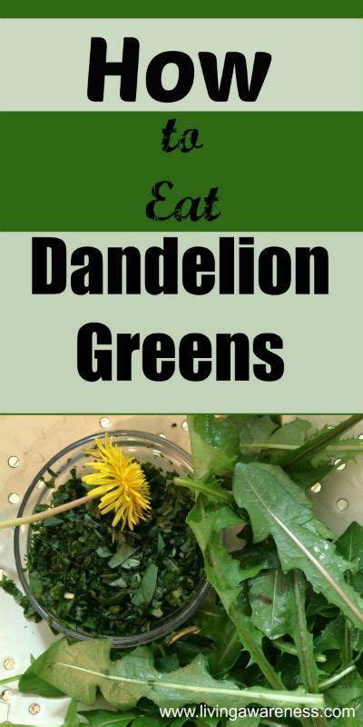 Dandelion Greens Do More Than Give You The Bitter Kick Start For