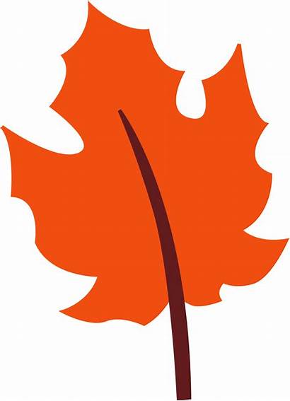 Clipart Leaves Fall Orange Autumn Leaf Clip