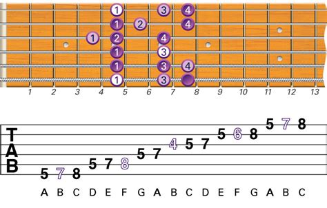 What Are The Best Beginner Guitar Scales To Learn