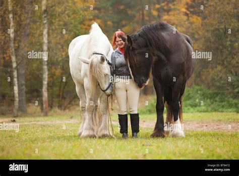 Dressur Reiten Mädchen Fotos Und Bildmaterial In Hoher Auflösung Alamy