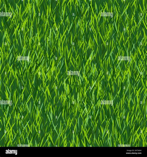 Green Grass Texture Or Background Seamless Pattern Spring Lawn