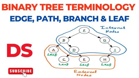 Binary Tree Terminology Edge Path Branch Leaf Level Number