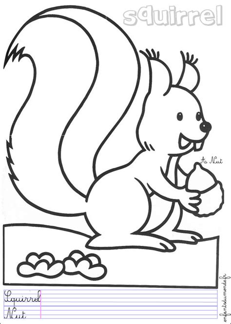 13 Dessins De Coloriage Écureuil Maternelle À Imprimer tout Coloriage