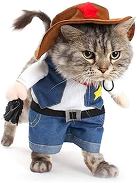 Meihejia Halloween Cat Cowboy Costume Hat Funny Costume
