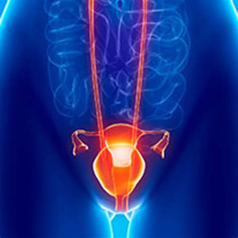 Urinary Tract Infections Urology Specialists Of Georgia