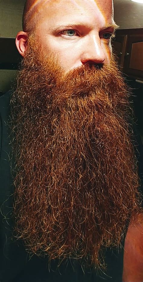Majestic Long Beard Bald Men With Beards Bald With Beard Great Beards