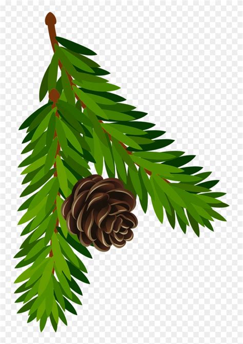 Christmas Pine Cones Clip Art 20 Free Cliparts Download Images On