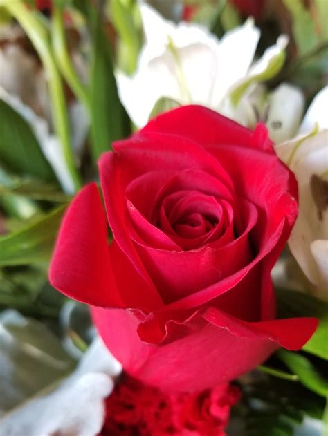 Valentine's day flower delivery is the perfect gift to celebrate your love. What are the best flowers to give on Valentine's Day ...