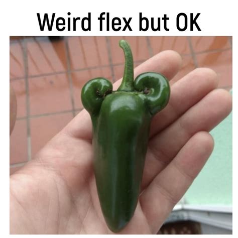 Powerful Pepper Memes