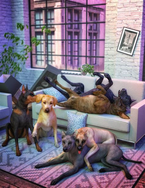 Comical Canine Poses For Daz Dogs 8 Daz 3d