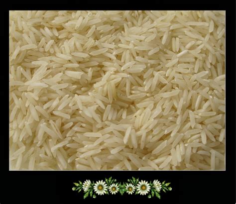 Soak this in water for 30 mins. Cooking in English (o intentándolo): How to cook basmati rice