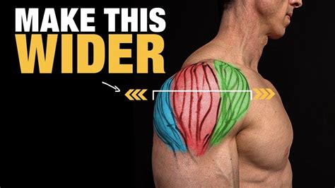 How To Get Big Shoulders From The Side Youtube Best Dumbbell