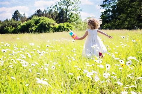 Little Girl Running Daisies Nature Grass Summer Sunny Happy