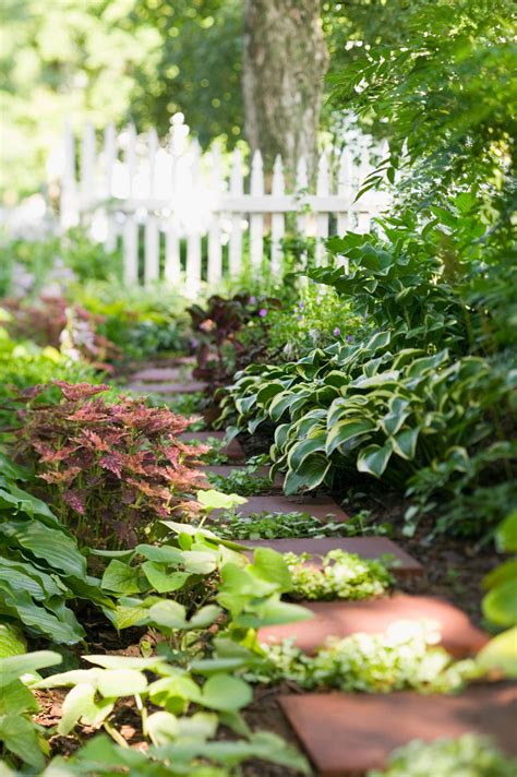 20 Shade Garden Design Ideas That Prove You Can Grow Colorful Plants