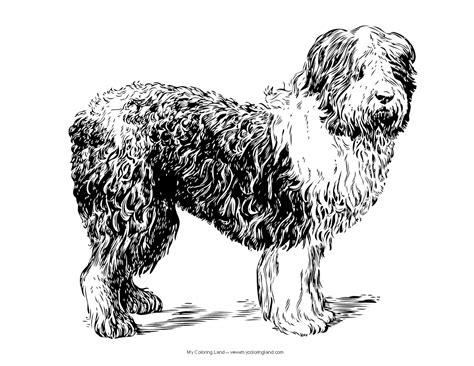 863x667 realistic dog coloring pages realistic dog coloring pages dogs. Dog - My Coloring Land