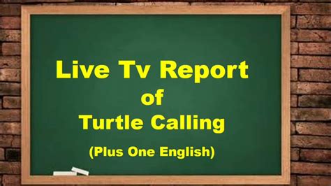 The Sacred Turtles Of Kadavu Live Tv Report Plus One English Youtube
