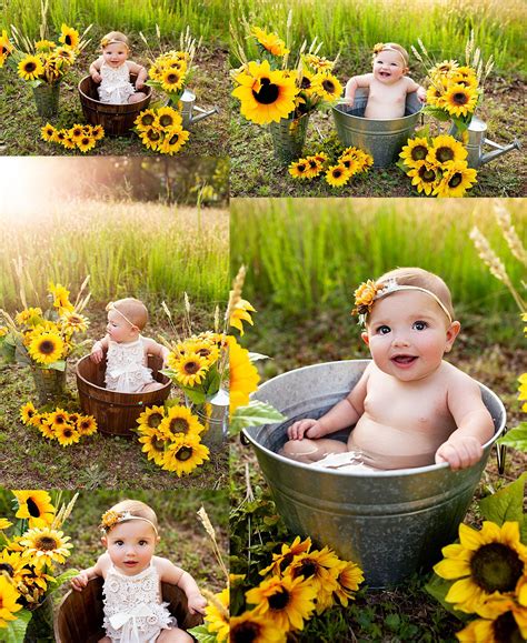 Elke dag worden duizenden nieuwe afbeeldingen van hoge kwaliteit toegevoegd. South Jersey Sunflower Photo Session | Fall baby pictures ...