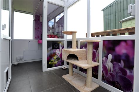 1cat boarding generally costs $15 per night and up. Gallery - Longcroft Luxury Cat Hotel