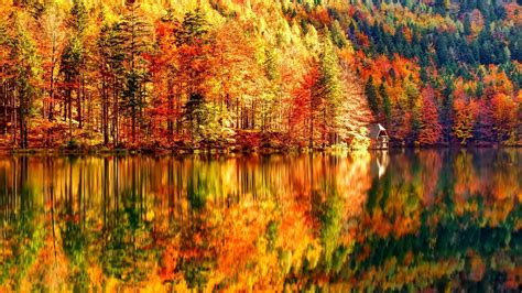 Beautiful Autumn Landscape Lake And Forest