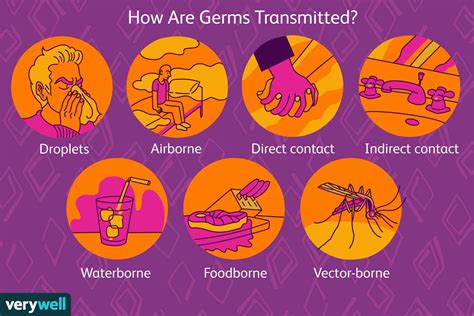 How Germs Are Transmitted