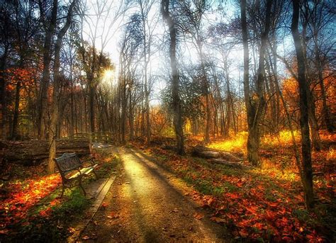 Piclogy On Twitter Fall Pictures Walk In The Woods Autumn Day