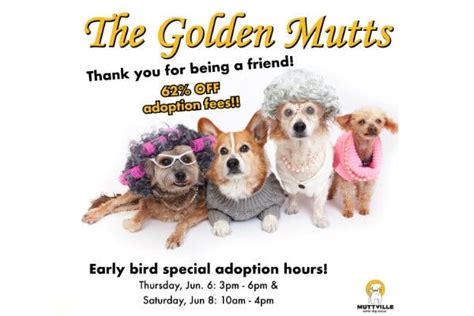 Jun 8 Adopt A Senior Pet Day 2019 Muttville San Francisco San
