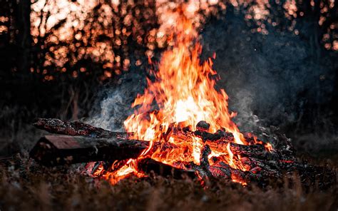 Bonfire Burning Logs Fire Flames Bonfire In The Forest Evening