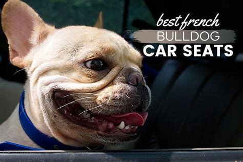 Best French Bulldog Car Seats 2023 Reviews And Guide Top Harness Seat