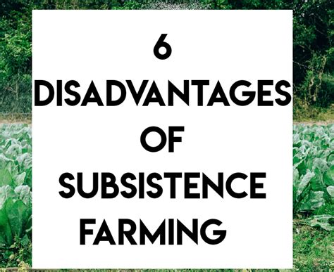 Intensive Subsistence Farming Advantages Disadvantages And