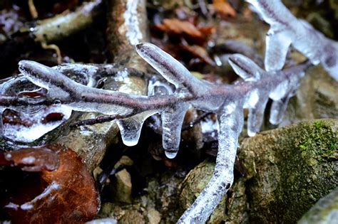 Wallpaper X100t Fujifilm Outdoor Nature Ice Eis Frost Winter