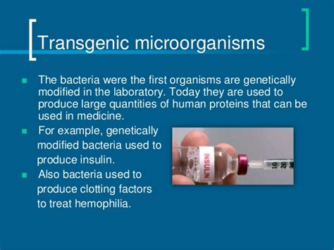 The direct human manipulation of an organism's dna in a laboratory environment. Transgenic and chimeric organisms (GMO)
