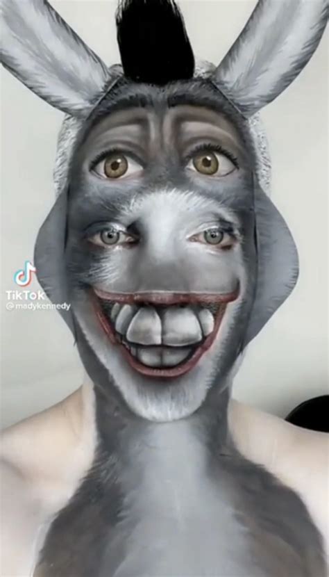 This Donkey Makeup Roddlyterrifying