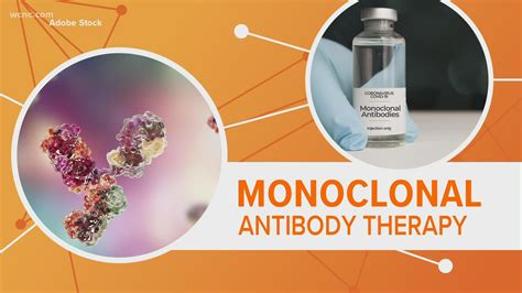 What Is Monoclonal Antibody Therapy
