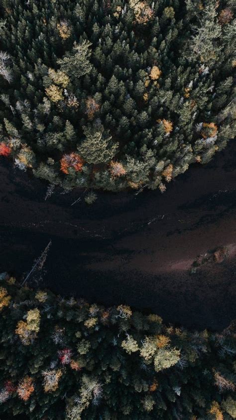 Download 720x1280 Wallpaper Aerial View Autumn Trees Samsung Galaxy
