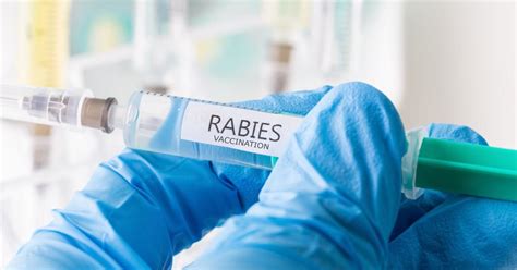New Rabies Guidelines Proposed News