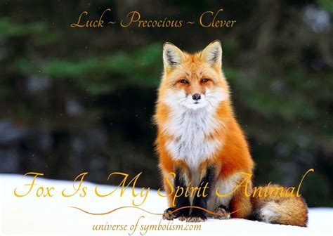 Symbolic Meaning Of Fox Fox Spirit And Totem Animal Delivers The Energy