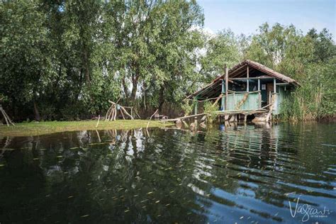 Into The Wild The Magnificent Danube Delta Romania