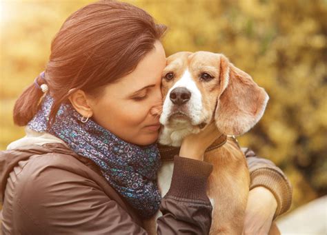 7 Ways Therapy Dogs For Depression Can Help You Deal With The Illness